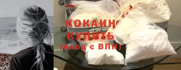 прущий лед Богданович