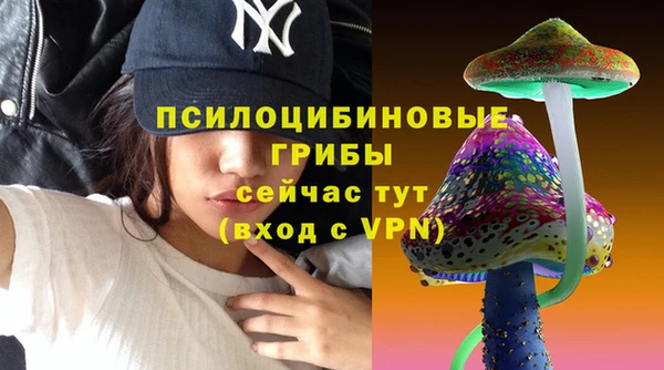 ALPHA-PVP Белокуриха