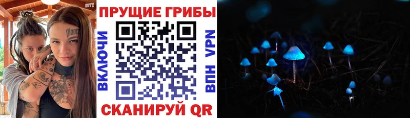Купить где  Менделеевск  Галлюциногенные грибы Psilocybine cubensis 